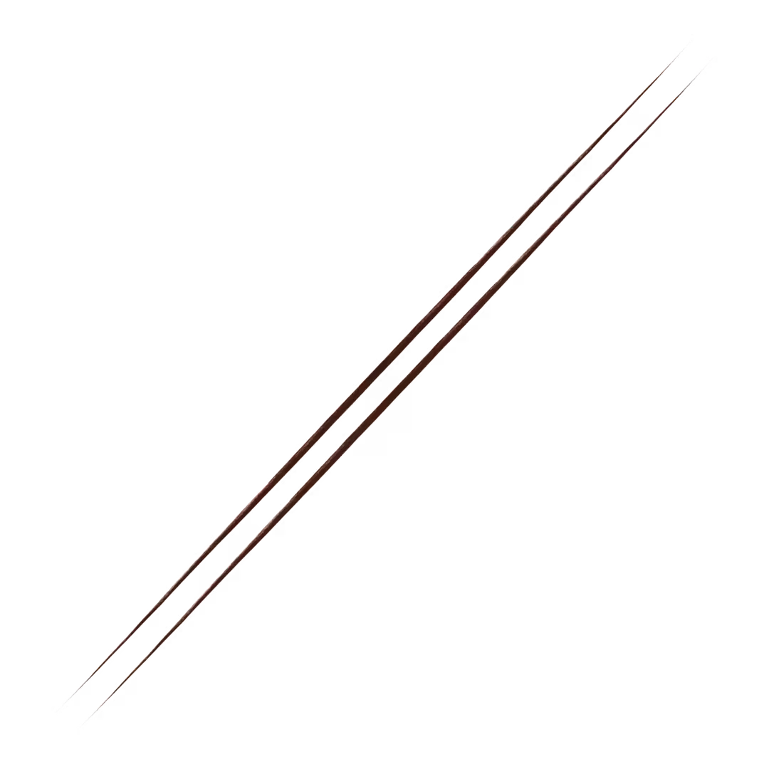 Fine Double-Brush Tip Brow Filling Pen